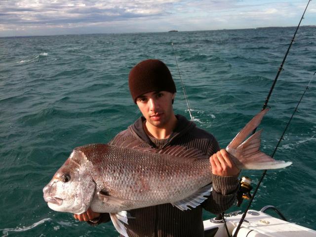 last seasons biggest snapper from sound